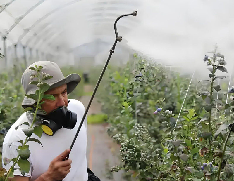 ��ˮ̎��ˎ��